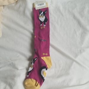 NWT Boston Terrier Maroon Dog Socks